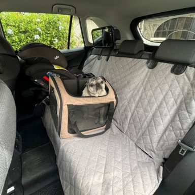 COBERTOR PERROS GATOS FUNDA ASIENTO AUTOS ANCLAJE ISOFIX ROTT - 3