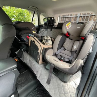 COBERTOR PERROS GATOS FUNDA ASIENTO AUTOS ANCLAJE ISOFIX ROTT - 6