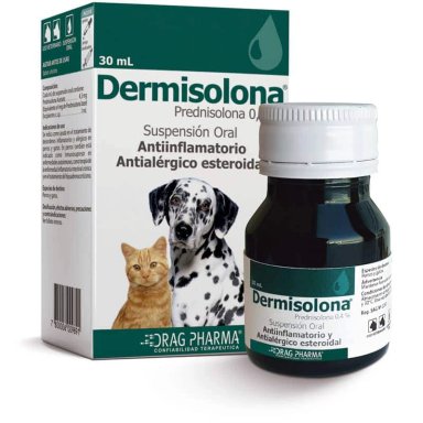 DERMISOLONA DRAG PHARMA JARABE SUSPENSION ORAL 30 ML - 1