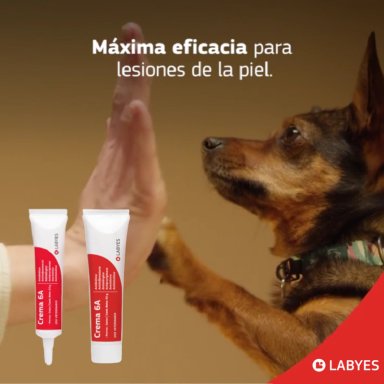 CREMA 6A 30G VCTO 31/07/2026 - 2