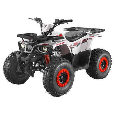 CUATRIMOTO TAO MOTOR TAO HUNTER BRAVES 125CC - 1
