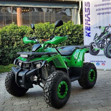 CUATRIMOTO TAO MOTOR TAO SHARK MUDHAWK 125CC - 1