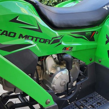 CUATRIMOTO TAO MOTOR TAO SHARK MUDHAWK 125CC - 3