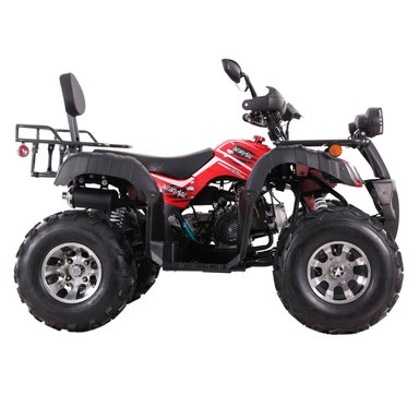 CUATRIMOTO INDOMINUS 250 PRO BEBRAVE - 2