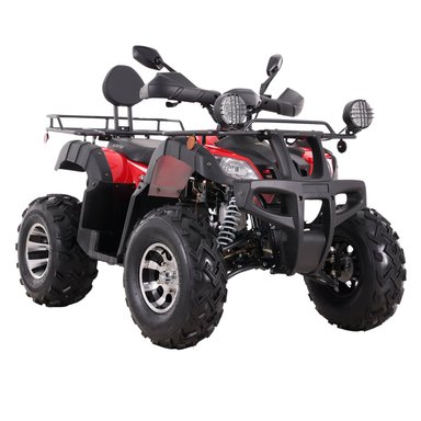 CUATRIMOTO INDOMINUS 250 PRO BEBRAVE - 3