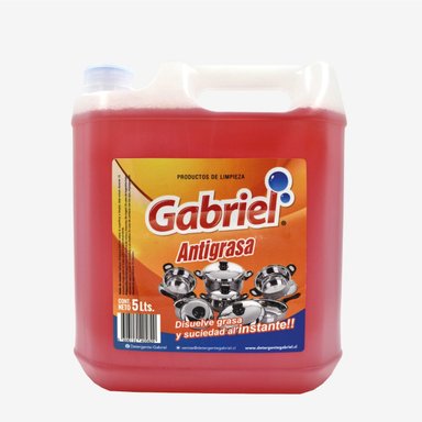 SET LIMPIEZA GABRIEL MULTIACCION 5 L - 3