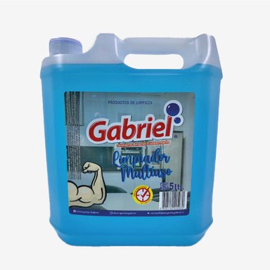 SET LIMPIEZA GABRIEL MULTIACCION 5 L - 4