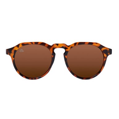 LENTES SOL RECKLESS STONE TORTOISE PROTECCIÓN UV 400 - 1