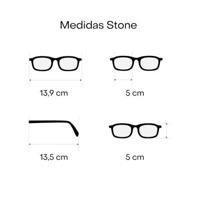 LENTES SOL RECKLESS STONE TORTOISE PROTECCIÓN UV 400 - 5