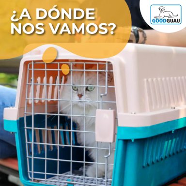 CANIL PERROS GATOS JAULA TRANSPORTE VIAJES GOODGUAU CELESTE M - 7
