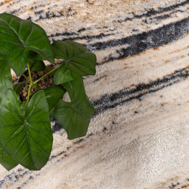 ALFOMBRA OAK 160X230 C0745A - 5