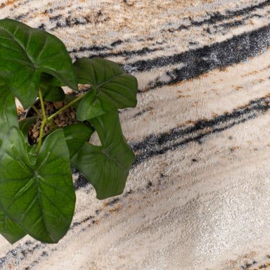 ALFOMBRA OAK 060X240 C0745A - 5