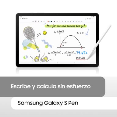 Galaxy Tab S10 Lite Gris 128GB con Cover y Spen - 9