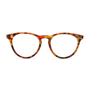 LENTES PANTALLA W.A.R LAKE TORTOISE BLUE - 1