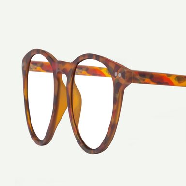 LENTES PANTALLA W.A.R LAKE TORTOISE BLUE - 4