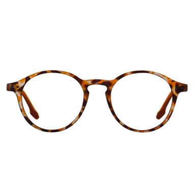 LENTES PANTALLA W.A.R SEA A2 TORTOISE - 1