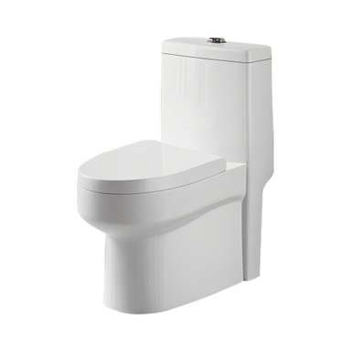 WC ONE PIECE JOYTEK MILLENIUM 8019 DESCARGA A PISO 30 CM - 3