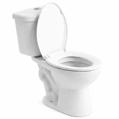 WC TWO PIECE JOYTEK PARA DISCAPACITADOS DESCARGA A PISO 30 CM - 2