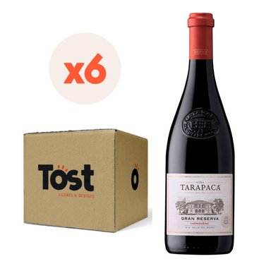 VINO TINTO CARMENERE TARAPACA BOTELLA VIDRIO 750 CC 6 UN TARAPACÁ GRAN RESERVA 14° - 3