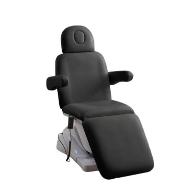 SILLÓN ULTRA ESTÉTICA 67 CM X 165 CM CAMILLA ELÉCTRICA PARA MASAJES NEGRO - 1
