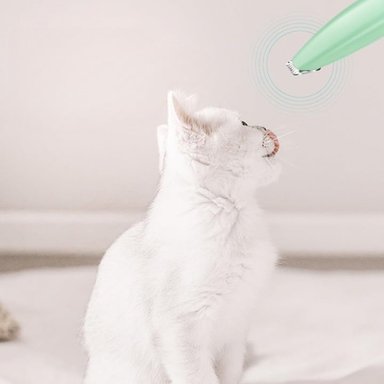 CORTADORA PELOS MASCOTAS PERRO GATO RECARGABLE LAU - 4