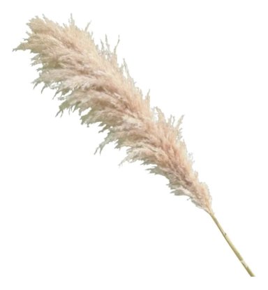 SET 3 PLUMAS NATURALES VOLUMINOSAS ESTILO NORDICO AJ - 1