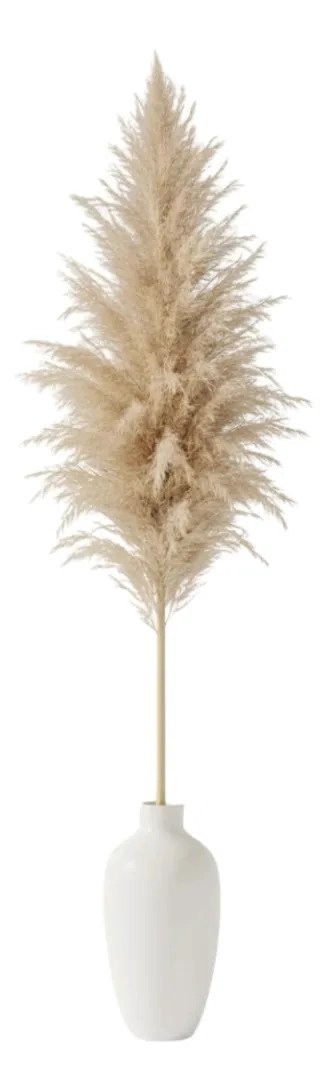 SET 3 PLUMAS NATURALES VOLUMINOSAS ESTILO NORDICO AJ - 2