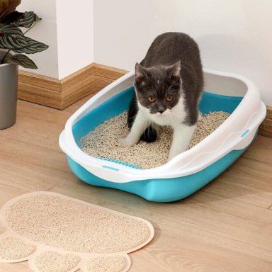 CAJA D ARENA PARA GATOS ASEO ENTRADA BAJA MASCOTAS HOGAR LAU - 3