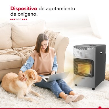 ESTUFA GAS 15L THOR GL 15K PLATEADA - 10