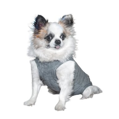 ROPA BODY PERROS COBRE CUNATEX GRIS TALLA 0 1.5 2.5 KG - 1