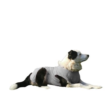 ROPA BODY PERROS COBRE CUNATEX GRIS TALLA 9 21 -25 KG - 1