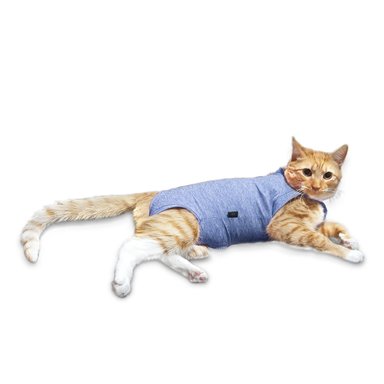 ROPA BODY GATOS COBRE CUNATEX GRIS TALLA 2 3.5 4.5 KG - 1