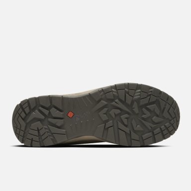 ZAPATO HOMBRE TELLUS LOW TAUPE OSCURO LIPPI - 3