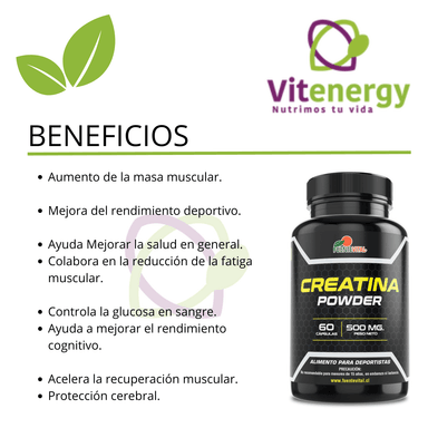 SUPLEMENTO ALIMENTICIO VITENERGY PACKCREATINA MONIHIDRATADA + LIPO SLIM BLOQUEADOR CARBOHIDRATOS - 6