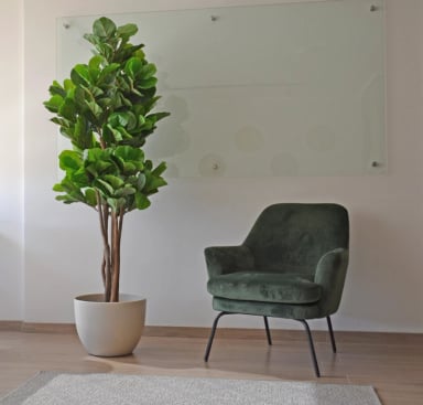 PLANTA ARTIFICIAL DECORATIVA ARBOL GRANDE FICUS LYRATA 180C - 1
