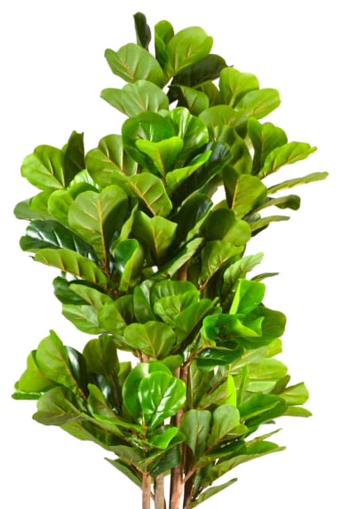 PLANTA ARTIFICIAL DECORATIVA ARBOL GRANDE FICUS LYRATA 180C - 5