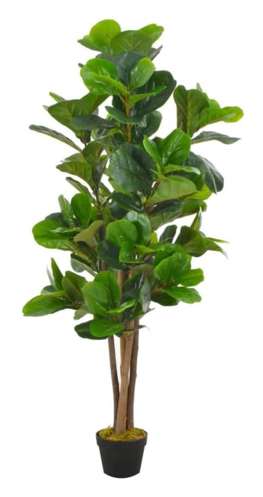 PLANTA ARTIFICIAL DECORATIVA ARBOL GRANDE FICUS LYRATA 150C - 5