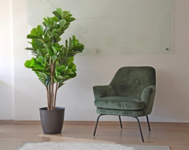 PLANTA ARTIFICIAL DECORATIVA ARBOL GRANDE FICUS LYRATA 150C - 6