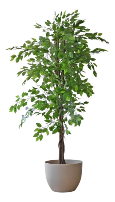 PLANTA ARTIFICIAL DECORATIVA ARBOL GRANDE FICUS 180CM 1260H - 4