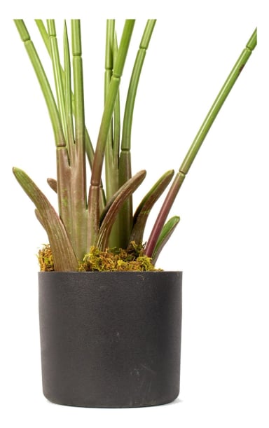 PLANTA ARTIFICIAL DECORATIVA ARBOL GRANDE AVE PARAISO 120CM - 6