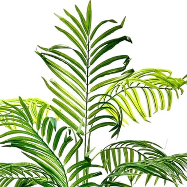 PLANTA ARTIFICIAL DECORATIVA ARBOL GRANDE PALMERA 120CM 10H - 3