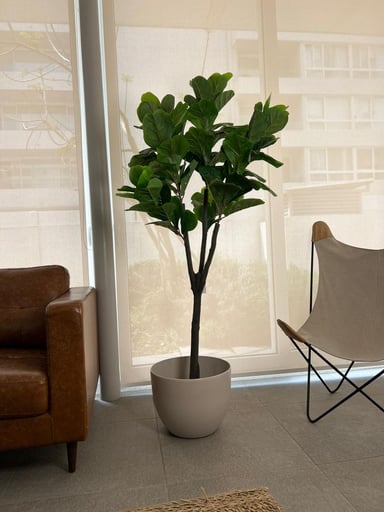 PLANTA ARTIFICIAL DECORATIVA ARBOL GRANDE FICUS LYRATA 180C - 2