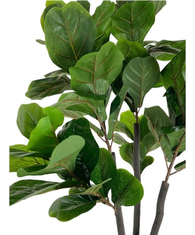 PLANTA ARTIFICIAL DECORATIVA ARBOL GRANDE FICUS LYRATA 180C - 5