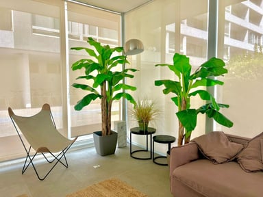 PLANTA ARTIFICIAL DECORATIVA ARBOL GRANDE BANANO 230CM 26HJS - 4