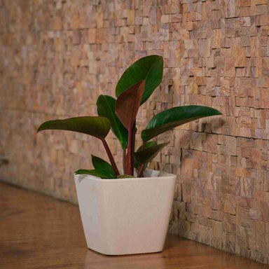MACETERO NORDICO BEIGE L 40 CM 40 X 40 X 40 - 7
