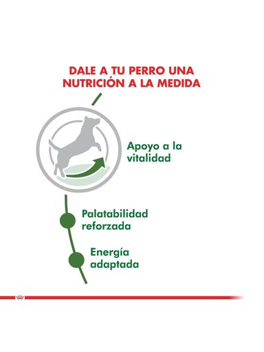 ALIMENTO ROYAL CANIN MINI ADULTO 8+ SACO 1 KILO - 3