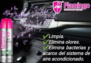 LIMPIADOR DE AIRE ACONDICIONADO 500 ML - 2
