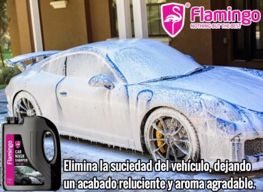SHAMPOO CON CERA CONCENTRADO AUTO 2 LITROS FLAMINGOCHILE - 3
