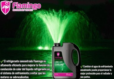 COOLANT VERDE 1 LITRO FLAMINGOCHILE - 4
