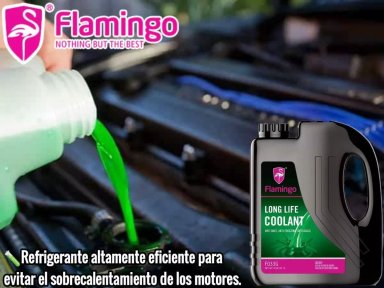 COOLANT AZUL 4 LITROS FLAMINGOCHILE - 2
